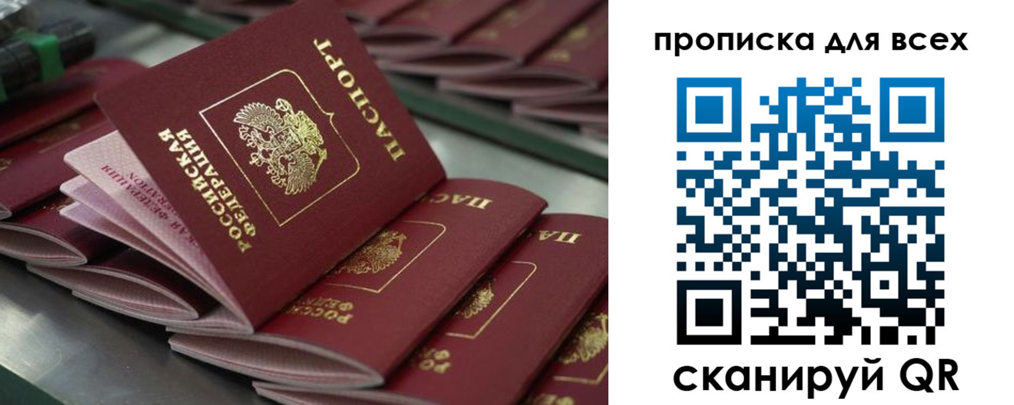 найти адрес прописки в Новом Осколе